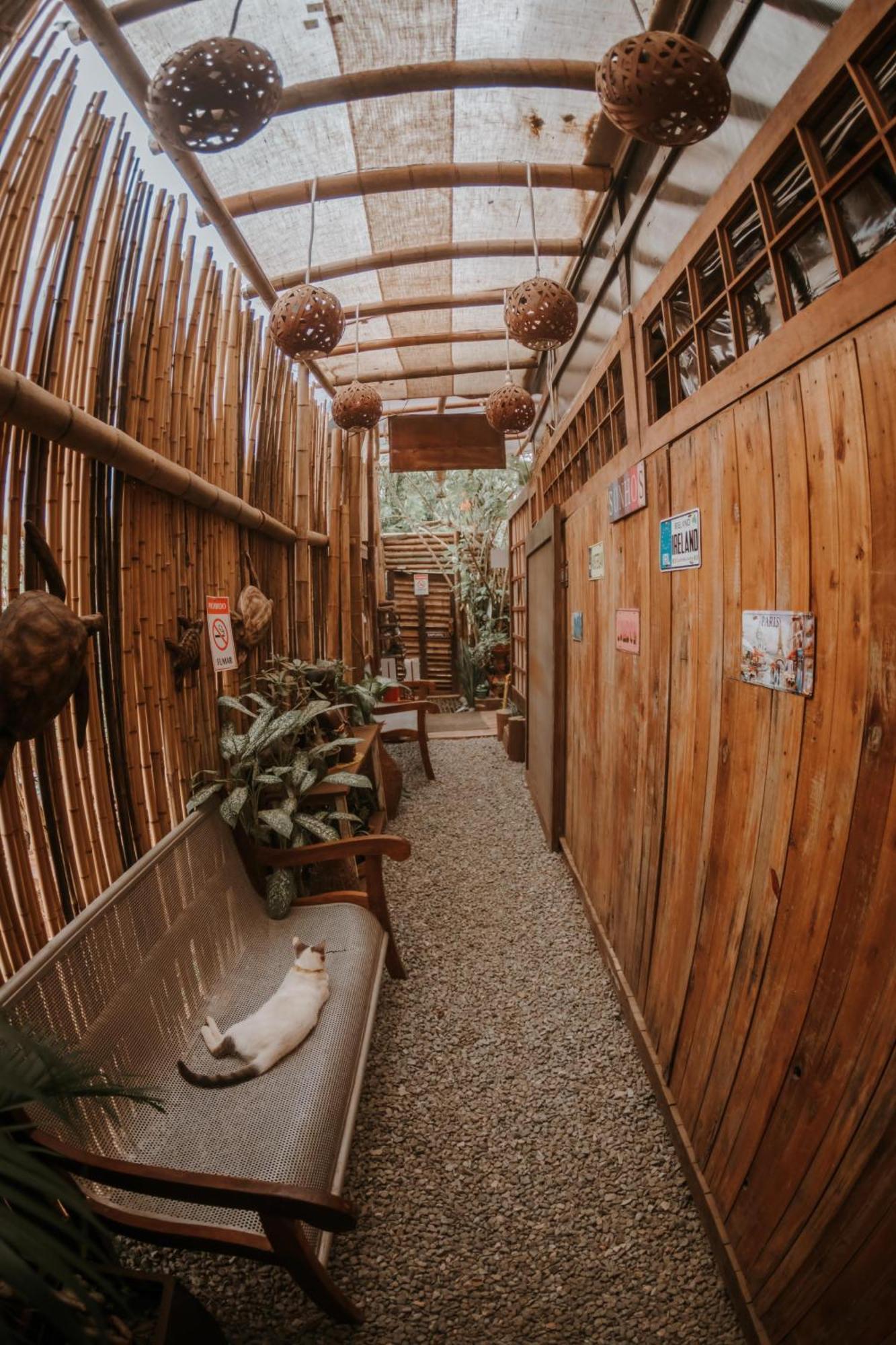 Doce Lar Hostel Noronha Fernando de Noronha Exteriör bild